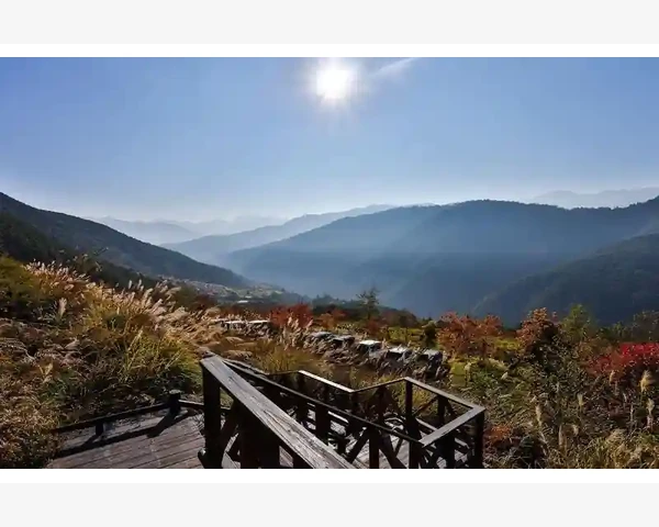 祛湿驱寒的中药，多久才能见效？